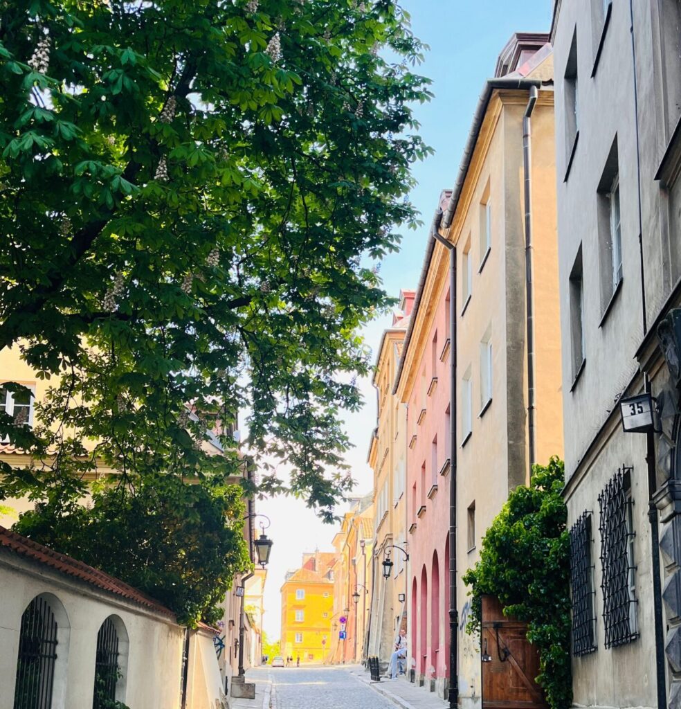 Street in the old town of Kraków with a green tree and tenements.